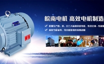 邵阳皖南电机公司获得E3-H系列船的电机型式认可