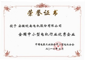 2017全国中小型电机行业******企业