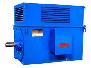 Y系列中型高压高效电动机-湖南高压电机